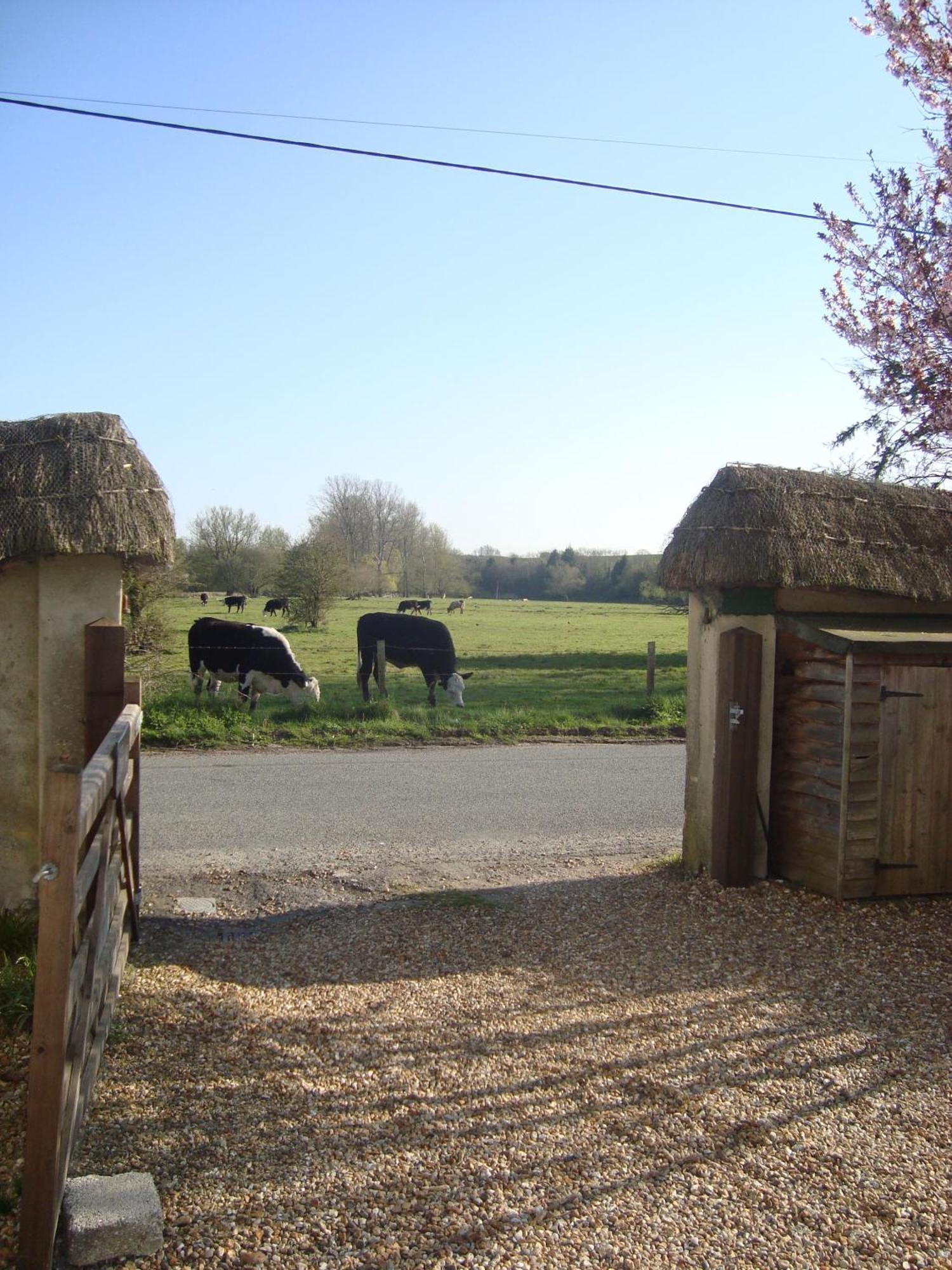 Stunning 3 Bedroom 3 Bath Self Catering Cottage Nr Stonehenge, Longleat, Avebury And Bath - Great Local Village Pub Pewsey Zewnętrze zdjęcie